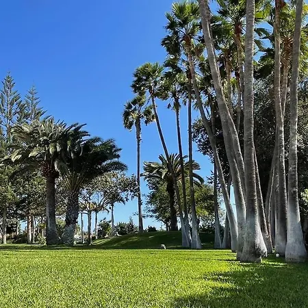 בית נופש Luxury Palm Beach Bungalow *