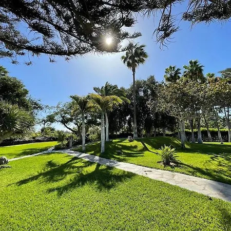 Luxury Palm Beach Bungalow