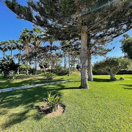 Дом отдыха Luxury Palm Beach Bungalow Маспаломас