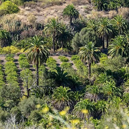Luxury Palm Beach Bungalow * Maspalomas (Gran Canaria)